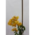 Plastic coated steel pipe garden stake