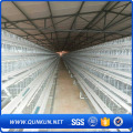 Pássaros de boa qualidade Poultry Farm Cage Chicken