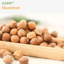 Hazel Nuts Most Preferred Hazelnut for International Trade