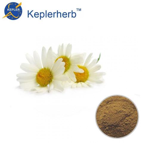 Chamomile Extract factory supply
