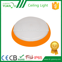 delicated appearance ceiling light fixture