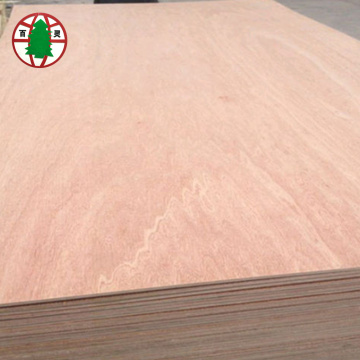 two times hot press bintangor plywood for furniture