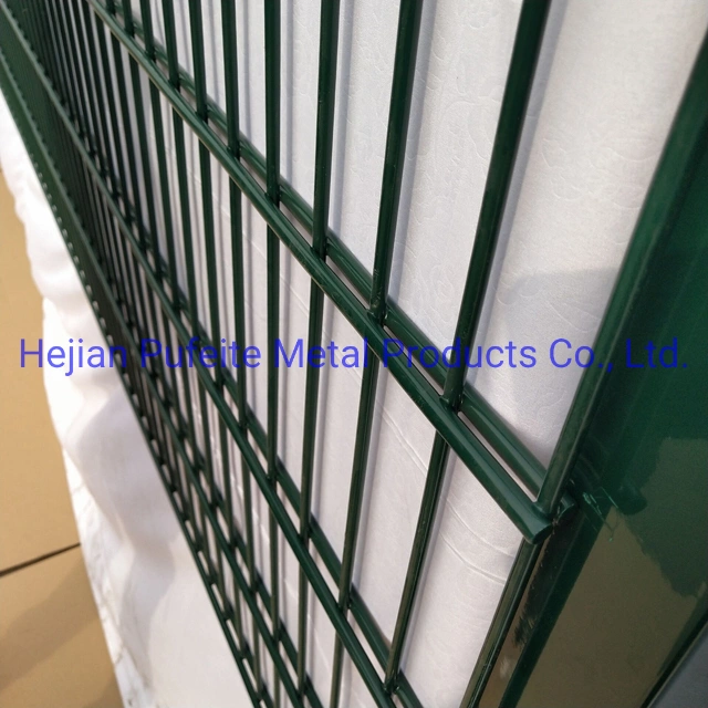 656 Twin Wire Fence Manufacturer, Powder Coated Ral 6005 Fence Manufacture.