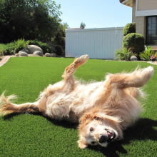 Pet Artificial Grass Mat For Puppies