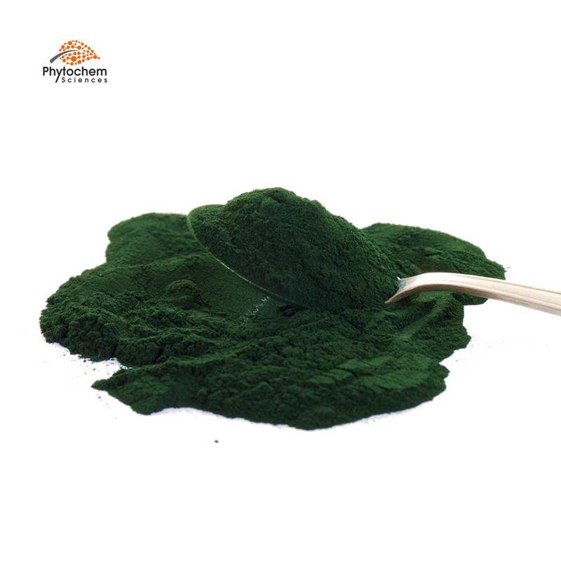 Wholesale MOQ 1kg chlorella vulgaris powder for weight loss health supplement