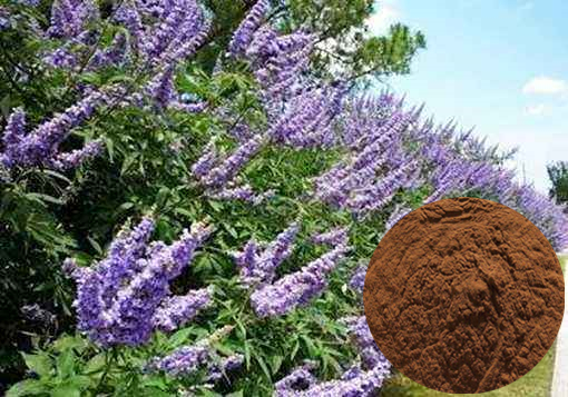 Vitex Agnus Castus Extract Vitexin 3% Powder