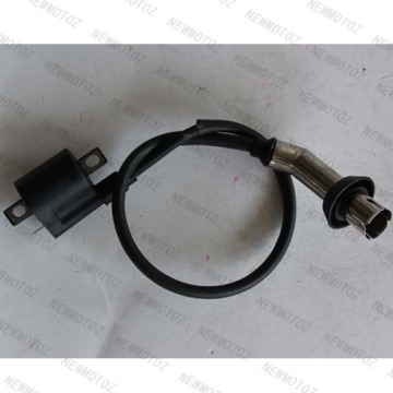 Ignition Coil Used For 4 Wheeler Atvs, 150/200/250cc Atv Ignition Coil