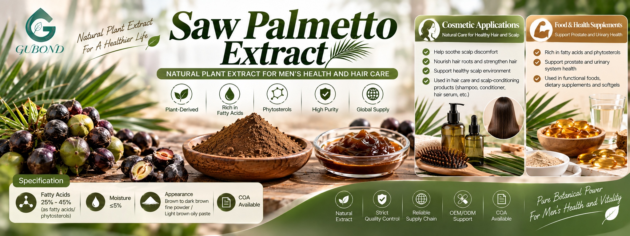 Extrato de Saw Palmetto Saw Palmetto Extract