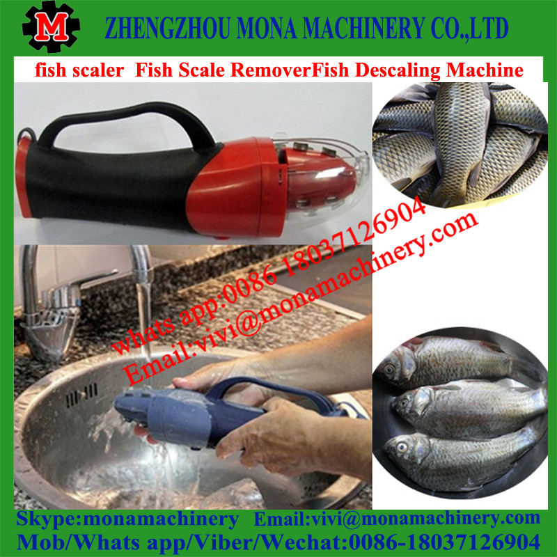 fish scale peeling machine/fish scale peeler