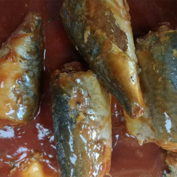 Canned Mackerel Fish In Tomato Sauce Hot Chili