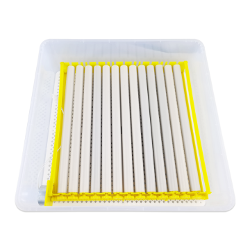 Transparent One Layer Egg Incubator for Chickens