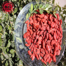 Increase calcium absorption lose weight goji berries