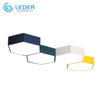 LEDER Bule Flush Ceiling Lamps