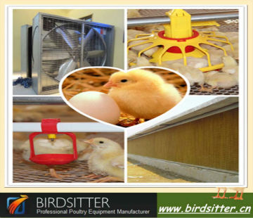 Good quality chicken farm equipment for chicken hourse