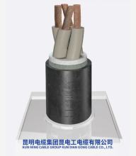 Heavy Duty Rubber Insulated Outdoor Cable