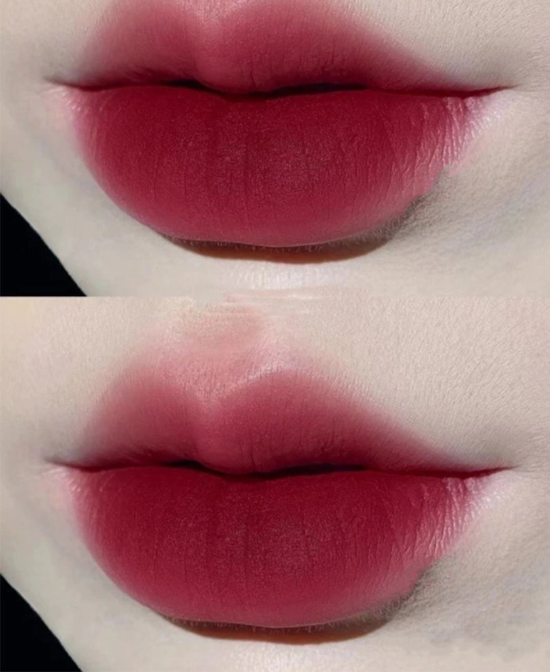 Lip Gloss Private Label Cosmetics Lip Gloss Pigment Clay Moss Liquid Lipstick Makeup