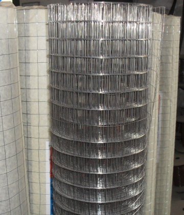 Galvanized mesh welded wire mesh used for chicken fencing