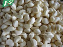 Frozen Garlic segement