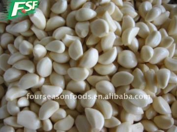 Frozen Garlic segement