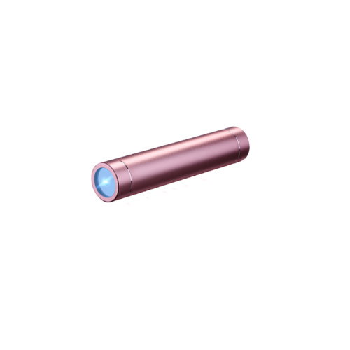 New Portable Pet UV Sterilization Pen Disinfection Pen