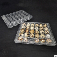 24holes clear tray plastic quail egg carton