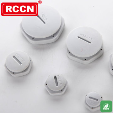 RCCN Screw Plug SP