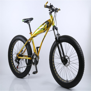 New models  Mountain Bicycle
