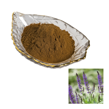 manufactory suppy natural chia seeds powder/ Salvia officinalis extract powder 10:1