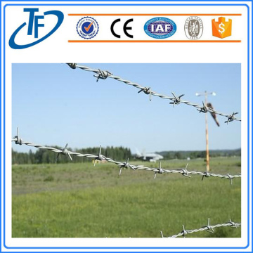 2016 hot sale galvanized barbed wire