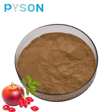 High Quality rosehip extract powder 30