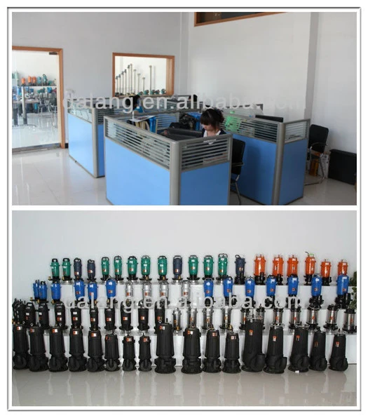 Qdx Series Submersible Pump, Competitive Pump, Water Pump, Sewage Pump