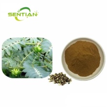 Tribulus Terrestris Extract Saponins 98% Protodioscin 40%