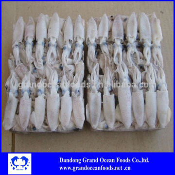 Puntilla China BQF baby squid