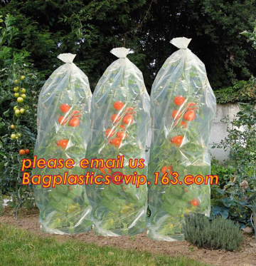 PE Agricultural Tomato tube Green house with holes PE garden used plastic perforated film for tomato plant