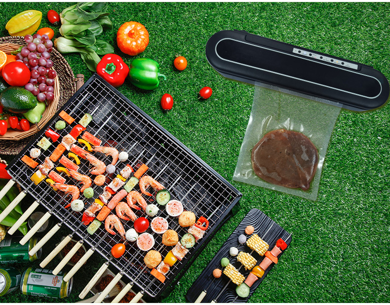 vacuum sealer portable