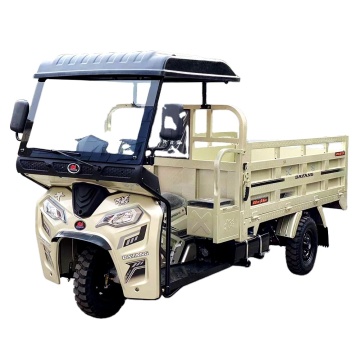 Dayang Motorized Three Wheel Tricycle 200cc Chongqing Dayang Gasoline Cargo Tricycle