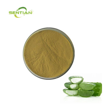 Natural Aloe Vera Extract Powder