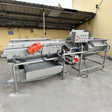 Carrot Potato Lettuce Washer Machine