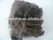 yak wool fiber supplier, dehaired yak wool brown,yak wool white 19.0mic 26mm