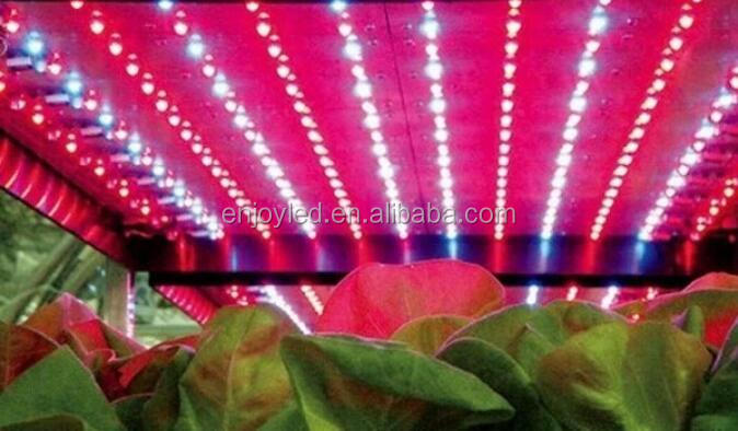 24 volt led grow strip light led strip hydroponic full spectrum led grow light