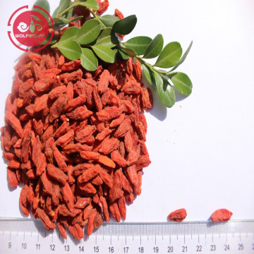 Lower cholesterol balance  blood sugar goji berries