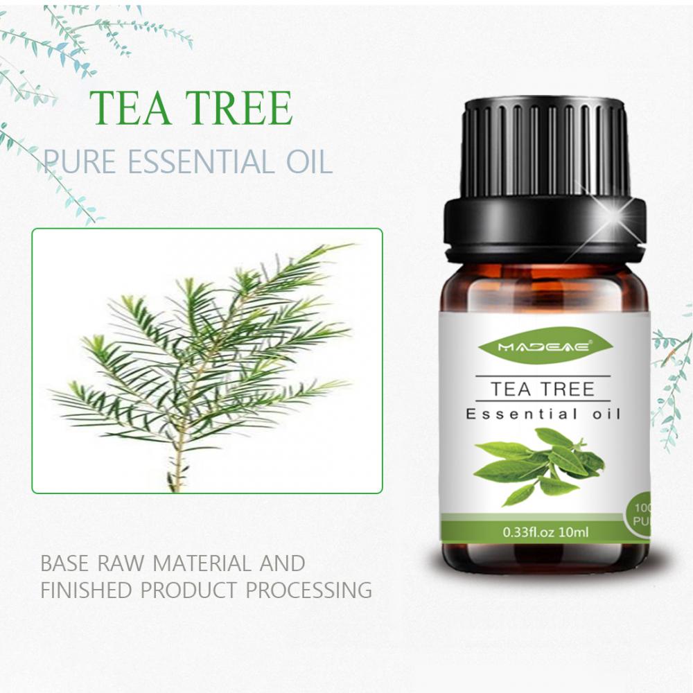 Aceite esencial de árbol de té de naturaleza 100% pura