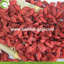 Wholesale Nutrition Healthy Low Pesticide Goji Berries