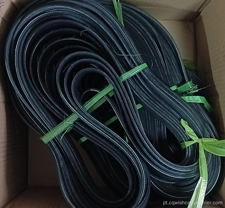 Cinta de bomba de água para alternativas Thermo King 781492