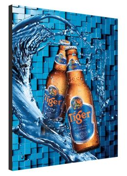 Haining Ulike PA Coating Woven Flex Banner Roll Advertisment TX8808