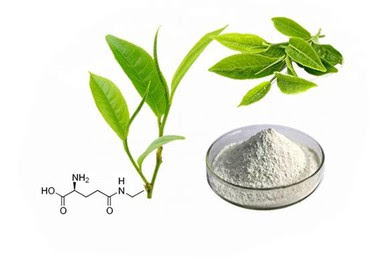 L-theanine Powder