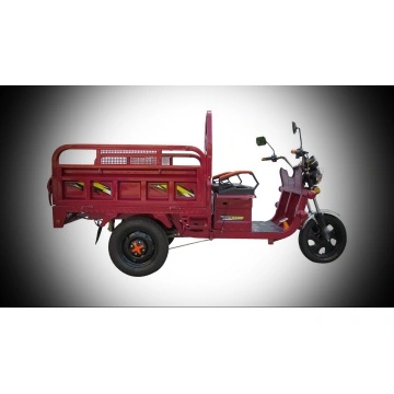 Fabricante de China del triciclo eléctrico, 3-Wheeler eléctrico, trike eléctrico del cargo, triciclo de la batería