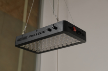 Phlizon Led Aquarium Light High Quality Performance 2022