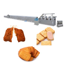 Digestive Biscuit Making Machine and Processing Line
