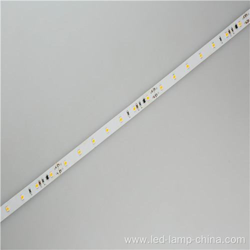 Dustproof Addressable IC Constant Current LED Strip Light